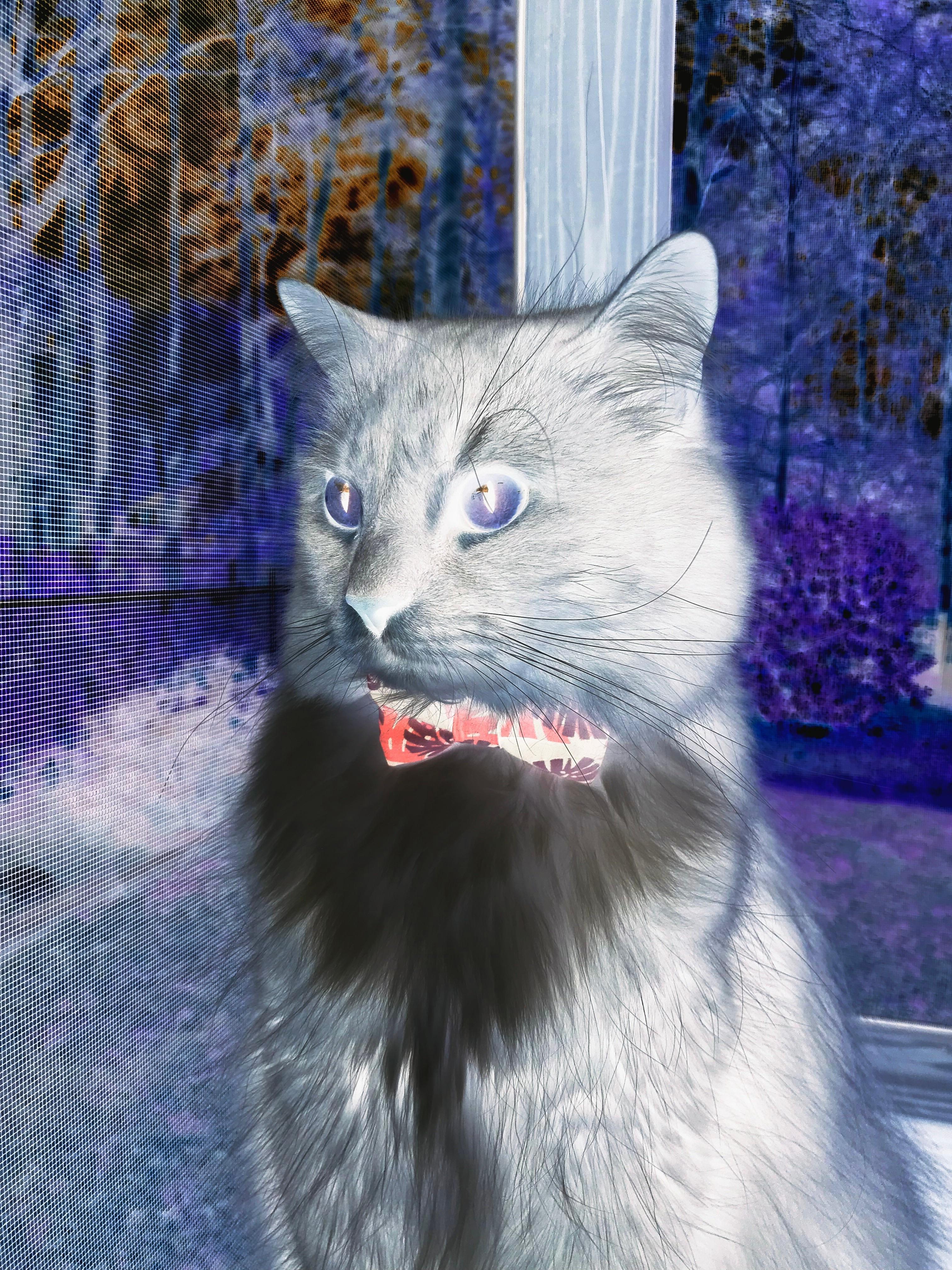 爱游戏 ayx 中国官方网站-_演讲和激励：顶尖运动员的成功经验_，运动员成功事例