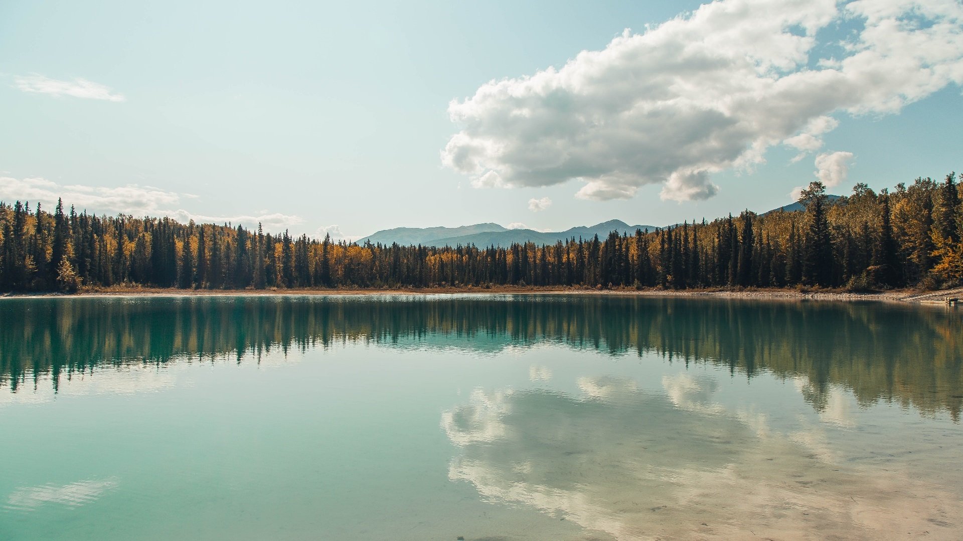 爱游戏中国电竞-_篮网最新战术奏效，强势夺取胜利_，篮网战术分析